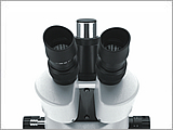 Microscopio Stereo Trinoculare OPTIKA